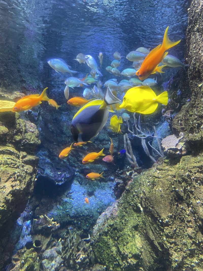 Aquarium de Paris