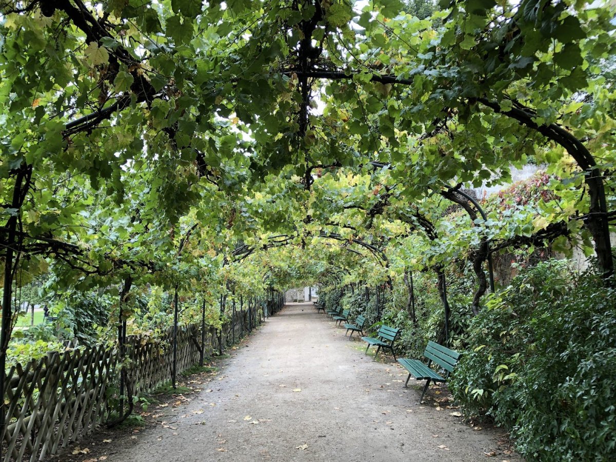 Jardin Catherine Labouré