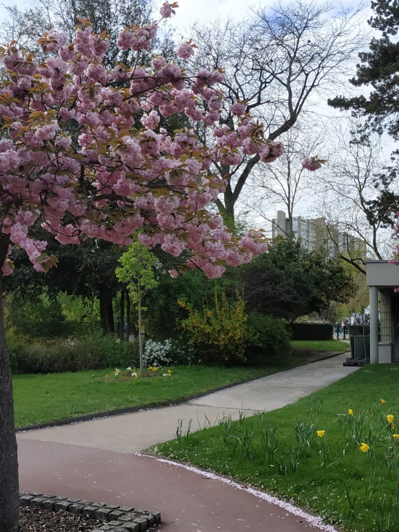 Parc de Choisy