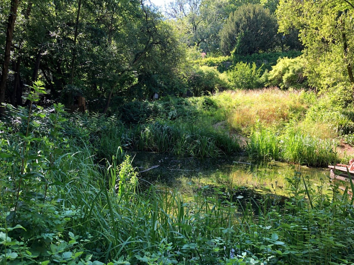 Jardin Naturel Pierre-Emmanuel