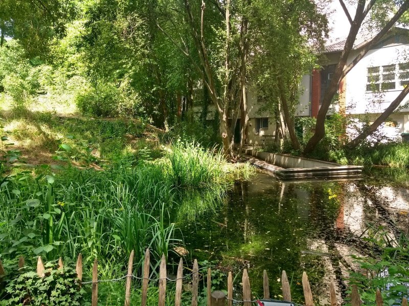 Jardin Naturel Pierre-Emmanuel