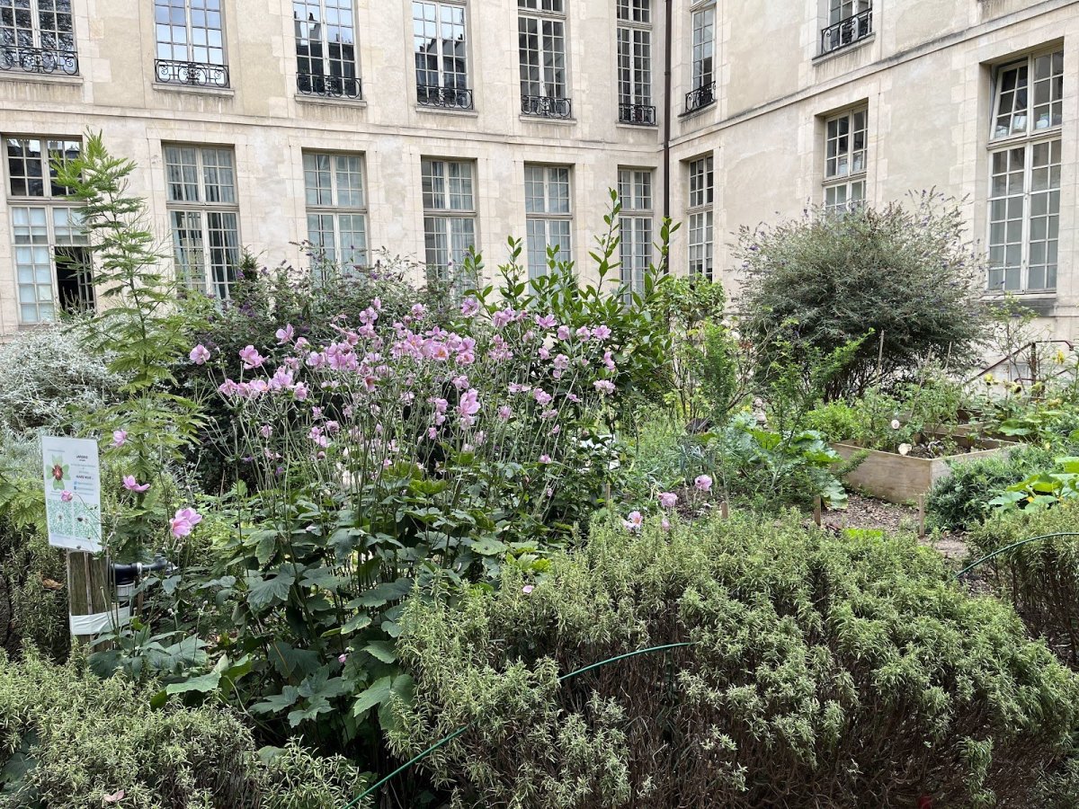 Jardin des Rosiers Joseph Migneret