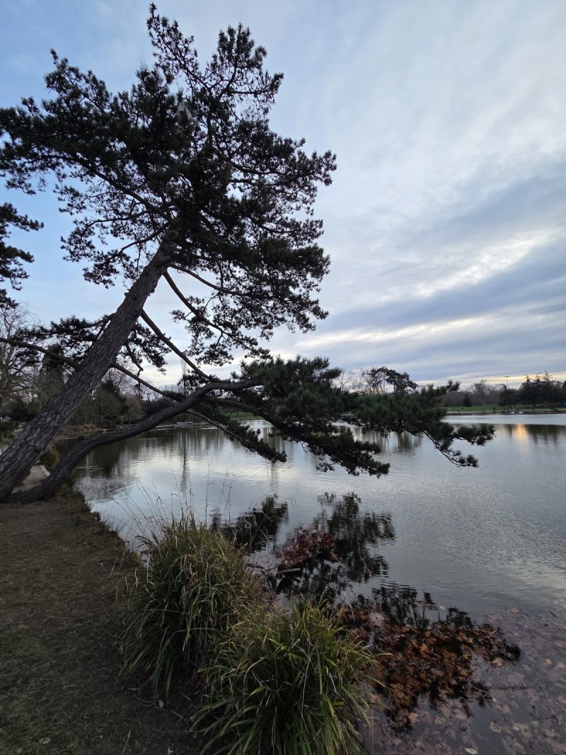 Bois de Vincennes