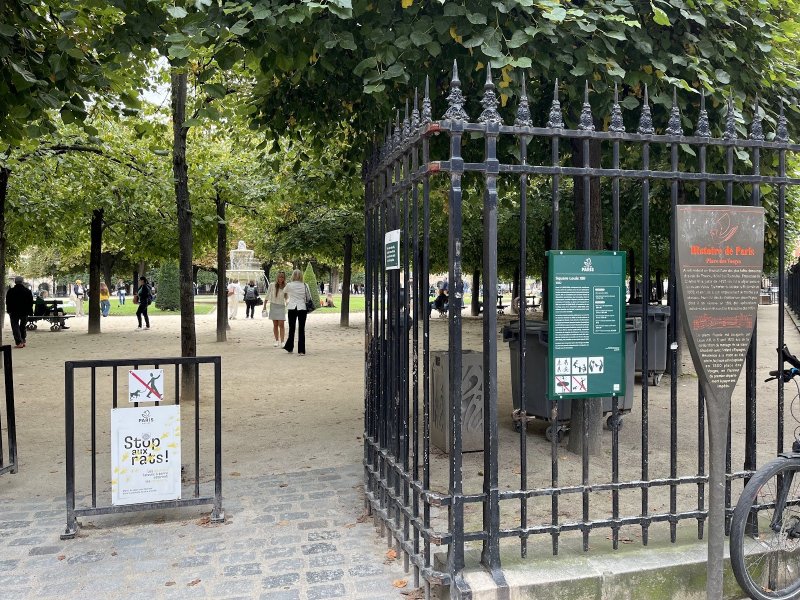 Square Louis XIII