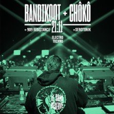 Bandikoot