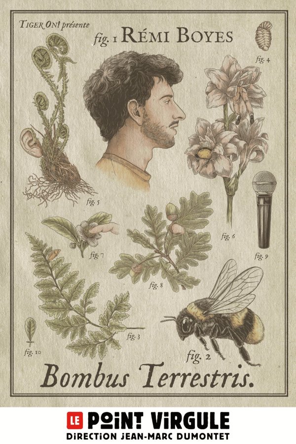 Rémi Boyes
